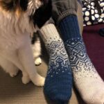 Puss approves of someone’s new socks. 😻🧦 https://t.co/SNA6aWWidT https://t.co/mjHXRFgxRd