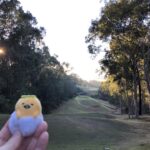 Morning walk around the golf course with Skippy and Gudetama. ☀️ https://t.co/gPyh92wsRt