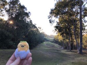 Morning walk around the golf course with Skippy and Gudetama. ☀️ https://t.co/gPyh92wsRt