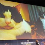 RT @rickibarnes: @web_goddess Kris Howard reminding us that "There are cat people in the #AWSCommunity, too". AMEN! https://t.co/X72NgNTMHs