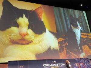 RT @rickibarnes: @web_goddess Kris Howard reminding us that "There are cat people in the #AWSCommunity, too". AMEN! https://t.co/X72NgNTMHs