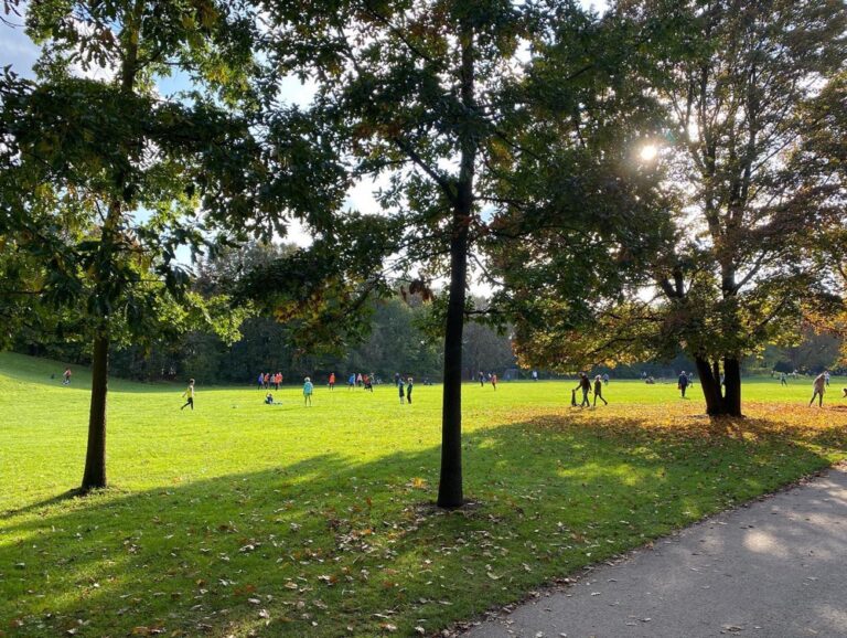 Blue sky for the first time in ages, so we rode to the Hirschgarten! It was packed with families and people playing sports. I was excited to see the deer enclosure... 🚴‍♀️🦌