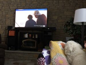 Buster is a big fan of The Godfather: Part 2. https://t.co/SmKx4WY8rP