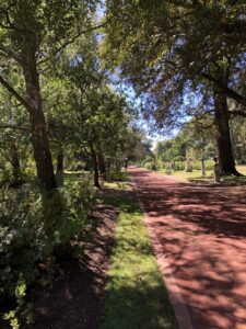 Today was a long road trip through Victoria with walks in botanical gardens in Colac and Ballarat. Time to head home and lock ourselves in with the cats... https://t.co/x5PGCfyLij