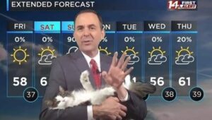 RT @LorenzoTheCat: When a TV weatherman is forced to work from home. https://t.co/1tvs3E6UA1