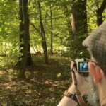 ...but there is also a lot of rambly wilderness “in the English style,” and we saw lots of ducks, geese, carp, and even a deer! https://t.co/9UBKtN5m8G