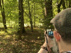 ...but there is also a lot of rambly wilderness “in the English style,” and we saw lots of ducks, geese, carp, and even a deer! https://t.co/9UBKtN5m8G