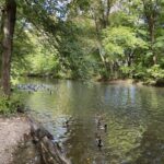 Die Sonne scheint, so we went for a bike ride along the Isar! 🚴🚴‍♀️☀️🍺 https://t.co/fuqQC8VQmV