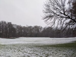 The Snook went for a walk. “Bavariapark giving off a very Dark is Rising vibe today. Snow, crows, the stag statue. Luckily I didn't come out and find the house replaced by Wayland Smith's forge.” ❄️🦌 https://t.co/PFfI4JUfvJ