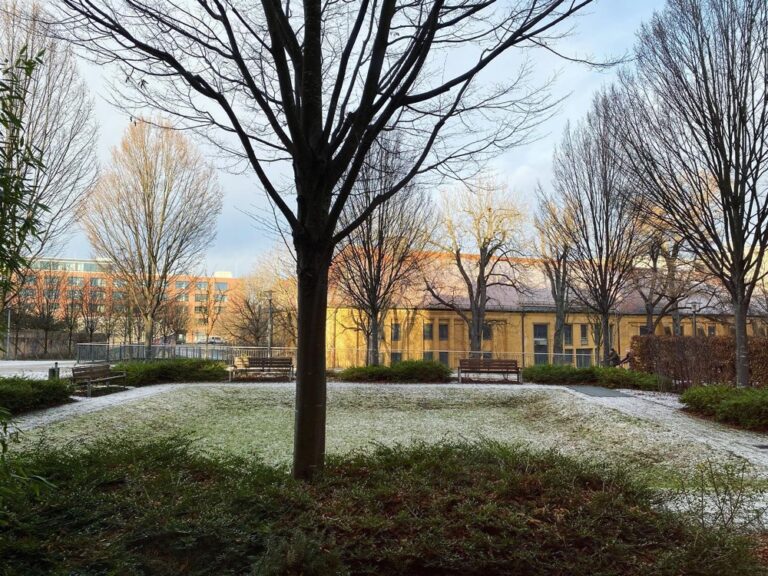 Morning sun and snow in München. ☀️❄️