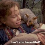 Last night I discovered that Willow is on Disney+, and the Snook had never seen it. We got to the part where they meet Fin Raziel, and to our immense surprise realised she was a brushtail possum! As a kid in the US, I never knew what the hell animal that was meant to be. https://t.co/TfMWKNLY9F