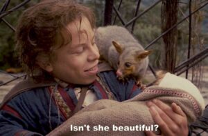 Last night I discovered that Willow is on Disney+, and the Snook had never seen it. We got to the part where they meet Fin Raziel, and to our immense surprise realised she was a brushtail possum! As a kid in the US, I never knew what the hell animal that was meant to be. https://t.co/TfMWKNLY9F