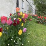 Current status: I rode my bike to a 500-year-old castle! 🏰🚴‍♀️🌸🌹 https://t.co/IT3FFLOjdf