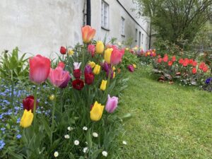 Current status: I rode my bike to a 500-year-old castle! 🏰🚴‍♀️🌸🌹 https://t.co/IT3FFLOjdf