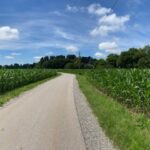 My longest ride to date! 37km/23mi through parks and forests and farmland and meadows. ❤️🚴‍♀️ Munich is so beautiful… https://t.co/i4zdtvQFAH