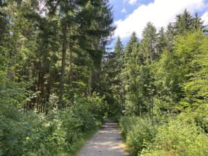 My longest ride to date! 37km/23mi through parks and forests and farmland and meadows. ❤️🚴‍♀️ Munich is so beautiful… https://t.co/i4zdtvQFAH