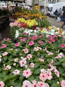 Freiburg ist schön! ❤️💐 https://t.co/kmHk5wsabd