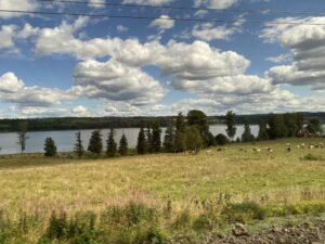 Pre-ordered lunch on the 11:04am SJ534 from Mälmo to Stockholm. Really excellent! Both the food and the views… @_DiningCar @SJ_AB 🇸🇪🚅 https://t.co/zsDNYsV0g6