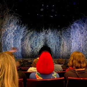 After more than a year of waiting, we finally saw @OceanWestEnd today. I loved it, and there were images that will stay with me a long time. I wept the entire last 30min, which were beautiful and sad and scary and cathartic. Thank you to @neilhimself and the cast & crew. 🌊😭❤️ https://t.co/DBGEkqYcpk