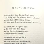 RT @RubenQuesada: “Almond Blossom” by Fiona Benson from Vertigo & Ghost (2021) https://t.co/18mnd0rAjQ