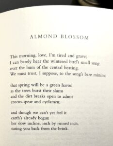 RT @RubenQuesada: “Almond Blossom” by Fiona Benson from Vertigo & Ghost (2021) https://t.co/18mnd0rAjQ