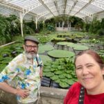 Finally visited Munich’s Botanic Gardens today! 🌺🐝🦋🌴 https://t.co/UhyymQj4GF