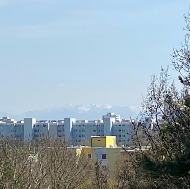 Being able to see the actual Alps from a distance is still such a novelty for me. 🏔🌹🌸🌼