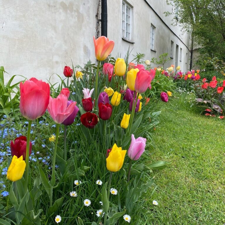 Current status: I rode my bike to a 500-year-old castle! 🏰🚴‍♀️🌸🌹