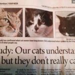 RT @Mr_Mike_Clarke: Retweet if this is the most unsurprising study result you've seen. http://t.co/XtGs9XIriu