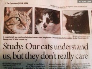 RT @Mr_Mike_Clarke: Retweet if this is the most unsurprising study result you've seen. http://t.co/XtGs9XIriu