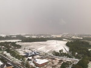 RT @i386: Looks like it snowed in Sydney park #SydneyStorm http://t.co/4dU1S8M4RI