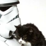 These Adorable Pets Are Teaching Star Wars Villains How To Love Again | So Bad So Good http://t.co/5feDZqlxET http://t.co/FyMklCYFeG