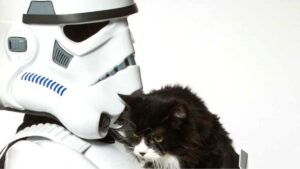 These Adorable Pets Are Teaching Star Wars Villains How To Love Again | So Bad So Good http://t.co/5feDZqlxET http://t.co/FyMklCYFeG