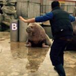 Zookeepers posing like Chris Pratt in Jurassic World http://t.co/vDWlx3iDMs // Hahahahaha! http://t.co/mkJks7sLss