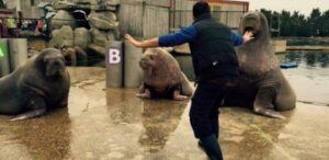 Zookeepers posing like Chris Pratt in Jurassic World http://t.co/vDWlx3iDMs // Hahahahaha! http://t.co/mkJks7sLss