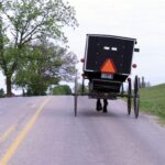 Push to eliminate horse manure faces Amish opposition http://t.co/7bZtwugfep - News from my home county in the US! http://t.co/aUYOSKzwVI