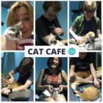 @canva goes to the Cat Cafe. https://t.co/k4PY4EUWZI https://t.co/xAamIXGsi0