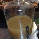 New adventures in fermentation. (It's going to be mead, he tells me.) https://t.co/67zJaMXDuF https://t.co/SL5lffis7i