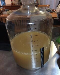 New adventures in fermentation. (It's going to be mead, he tells me.) https://t.co/67zJaMXDuF https://t.co/SL5lffis7i