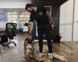 RT @poppiepack: This is Biscuit the dog 🐶 and Shamal the @canva vibe manager✌🏻️ #workdog #startup https://t.co/eVDlpJF0TW