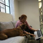 Today Biscuit and I did some pair programming. (Thanks @AnnaIsabella92 for the photo.) https://t.co/gV7tuYawZK