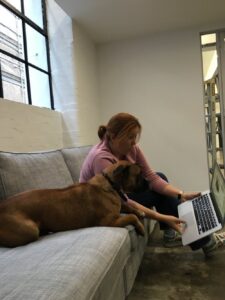 Today Biscuit and I did some pair programming. (Thanks @AnnaIsabella92 for the photo.) https://t.co/gV7tuYawZK