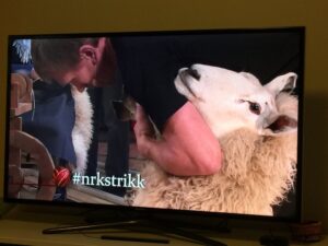 The sheep is so chill this is amaaaaazing. https://t.co/H4ZZO0BQYb