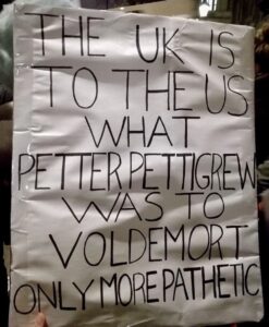 RT @lizzielichfield: #StandUpToTrump #StopPresidentBannon #Voldemort https://t.co/W9cSac86zp