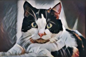 Just used Fast Style Transfer on my beautiful cat. 😻 #wtm17 https://t.co/Ul84YBCY1G