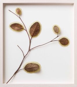 Dried Leaves Crocheted into Delicate Sculptures by Susanna Bauer https://t.co/uo4Bp77Q7r // Wow! Beautiful crocheted art. ❤️🍂 https://t.co/WrdSH1og3Z