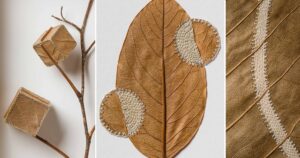 Dried Leaves Crocheted into Delicate Sculptures by Susanna Bauer https://t.co/uo4Bp77Q7r // Wow! Beautiful crocheted art. ❤️🍂 https://t.co/WrdSH1og3Z