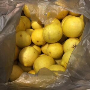 My neighbour gave us a gigantic bag of (ripe) limes. Any ideas how to use them up? https://t.co/V4eWAsYhWH https://t.co/ruzVmaRpjj