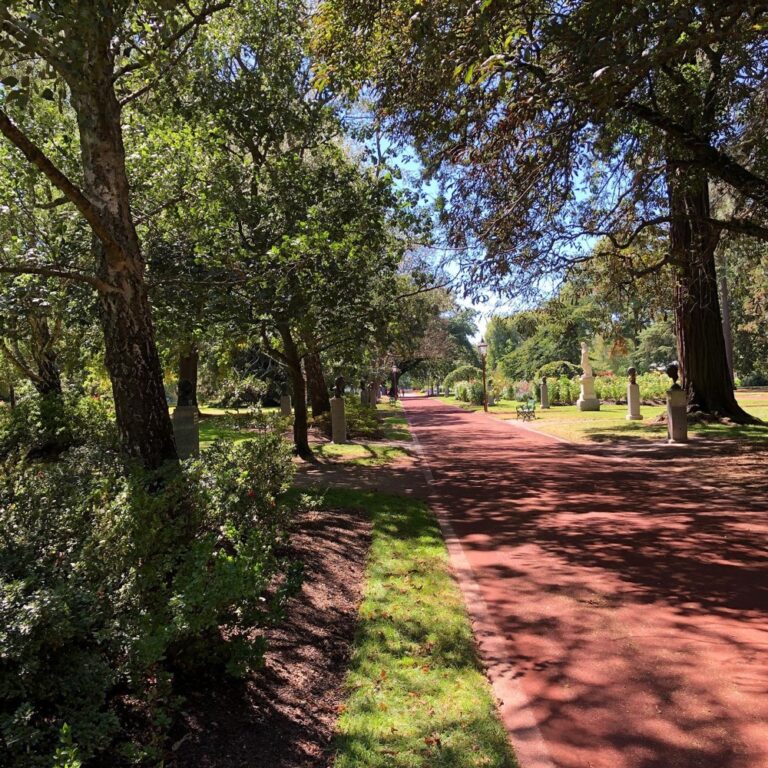 Today was a long road trip through Victoria with walks in botanical gardens in Colac and Ballarat. Time to head home and lock ourselves in with the cats...