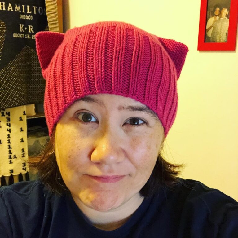 Given my current level of disillusionment with most politicians, today’s hat choice was an easy one. 😾✊